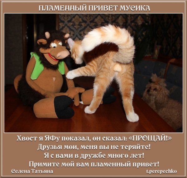 Передаю Пламенный привет