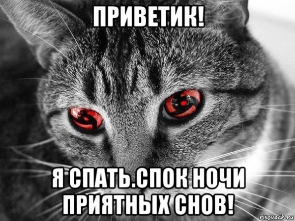 Ну привет картинки