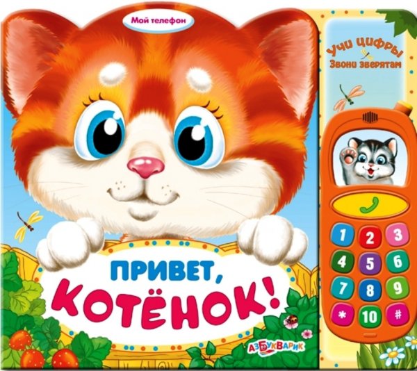 Привет котенок