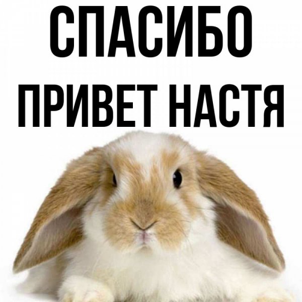 Магомед не печалься