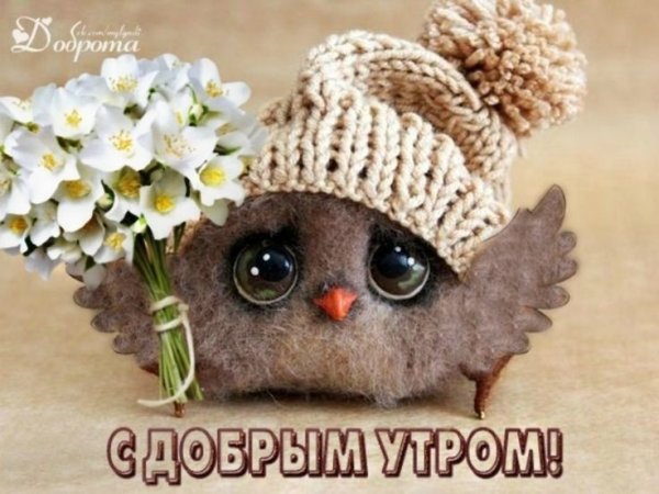 Доброе утро игрушки