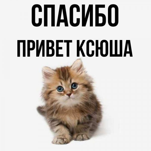 Привет Ксюша