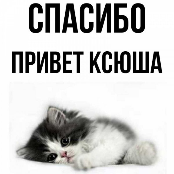 Привет Ксения