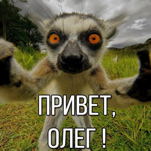 Привет от Олега
