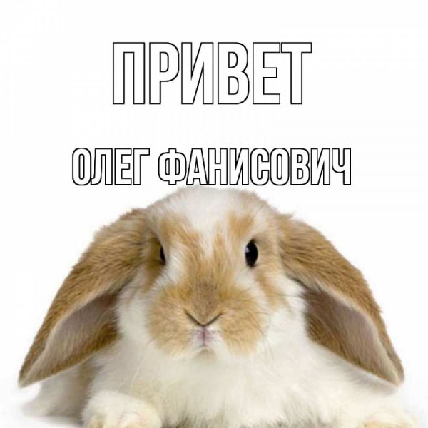 Привет Олег Мем