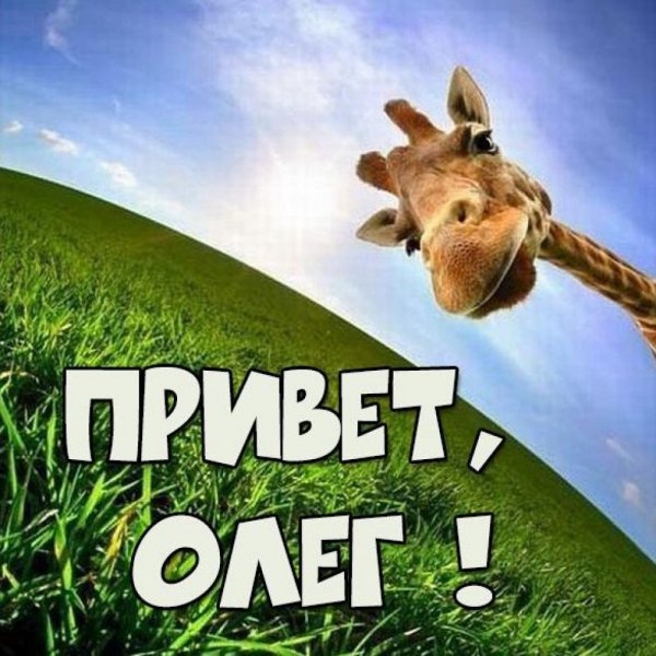 Привет Олег картинки