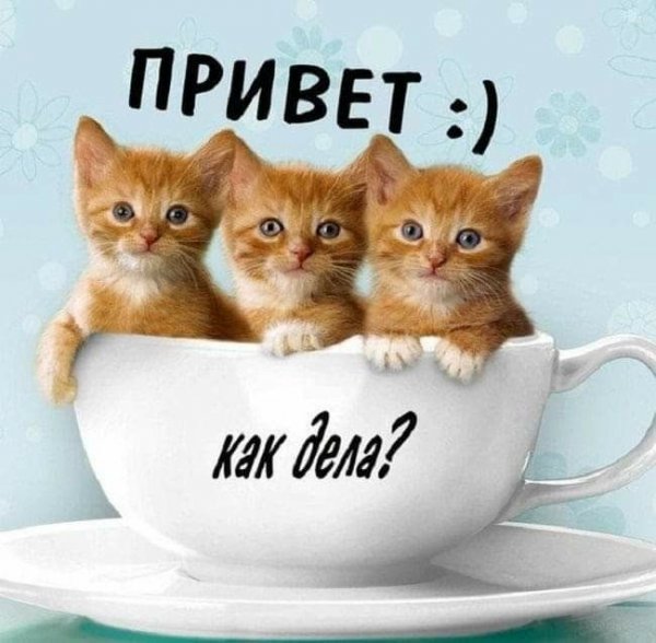 Открытки привет прикольные