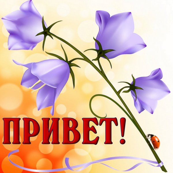 Привет открытки красивые