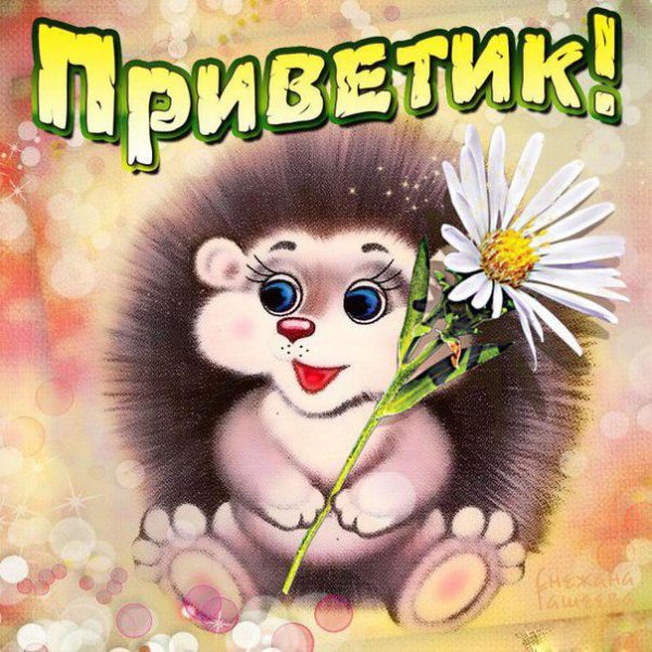 Открытки привет