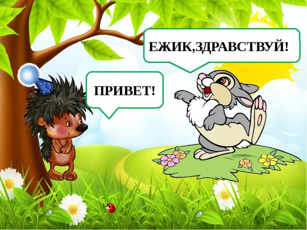Привет от ежика
