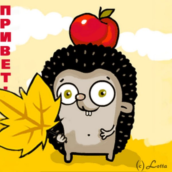 Привет Ежик