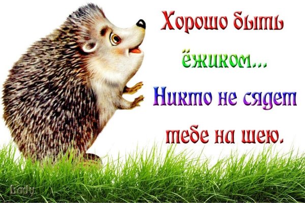 Хорошо быть ежиком никто не сядет на шею