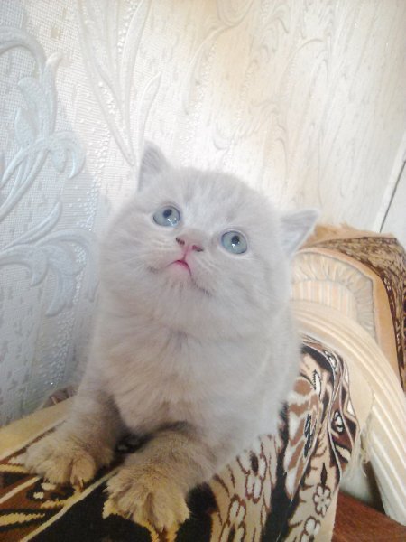 Катя красавица картинки