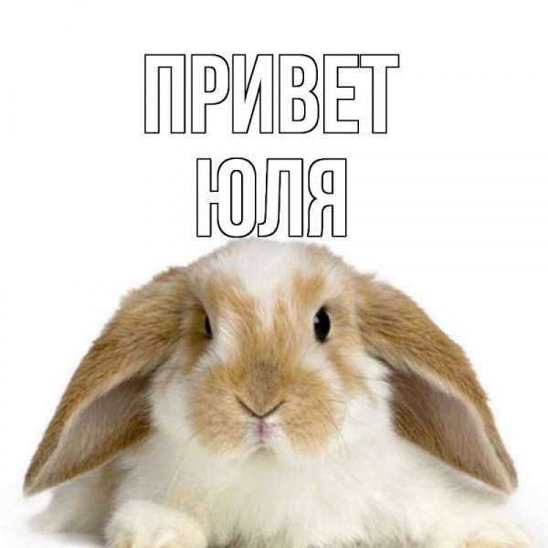 Юлька привет картинки прикольные