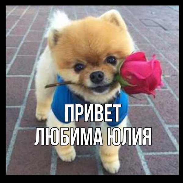 Привет Юля картинки красивые
