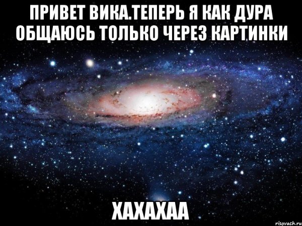 Кот привет