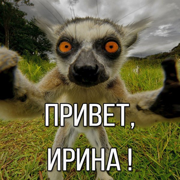 Мем привет Ирина
