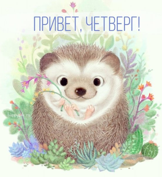 Доброе утро четверга