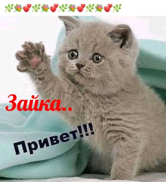 Открытки приветик
