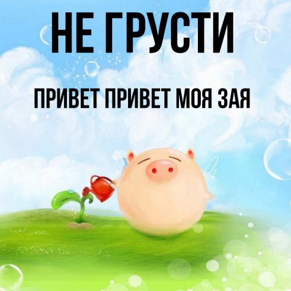 Привет Зайка моя