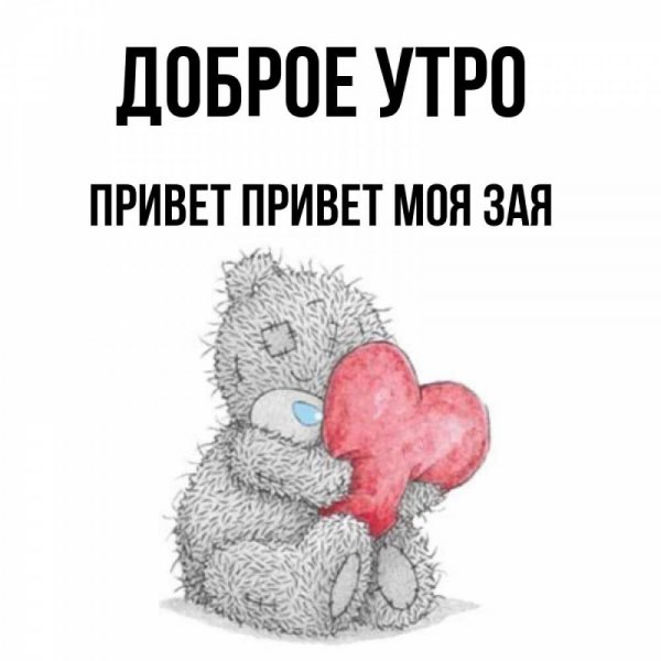 Привет зайчик