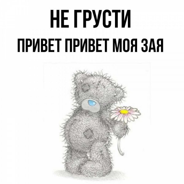 Привет зайчик