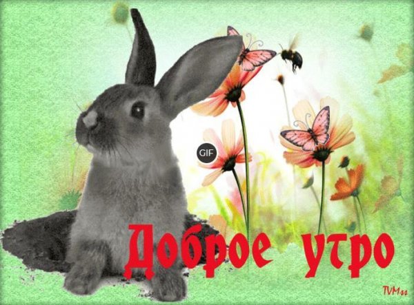 Доброе утро любимый зайчик