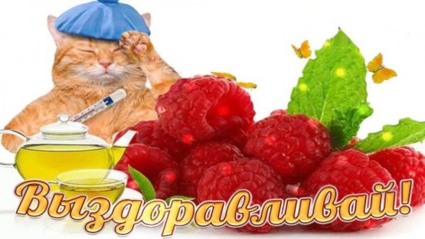 Выздоравливай картинки