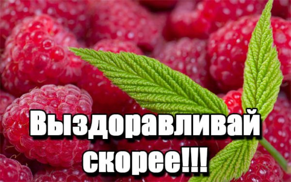 Выздоравливайте скорее
