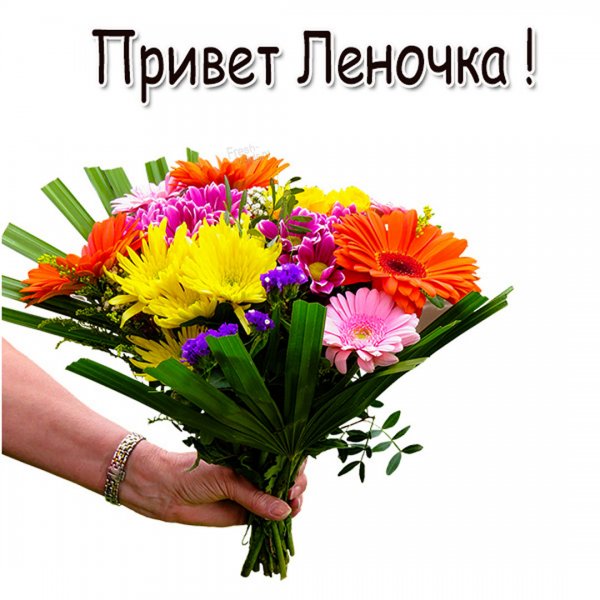 Доброе утро хеленочька