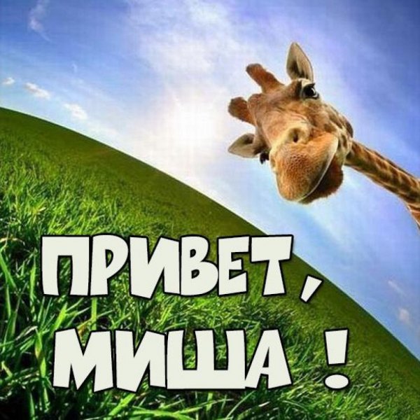 Красава мемы