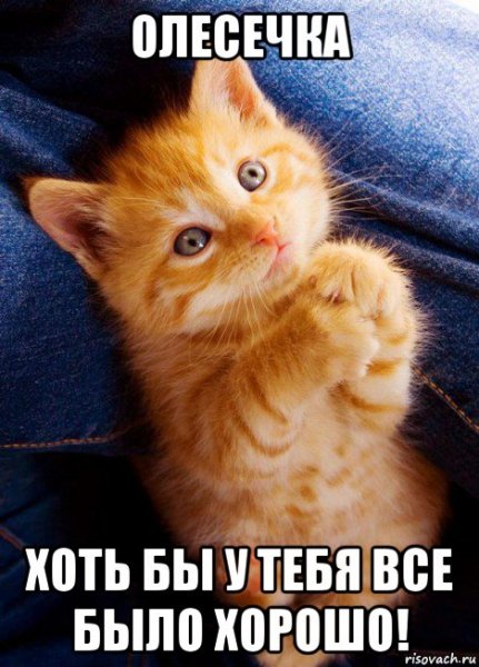 Олеся прикол