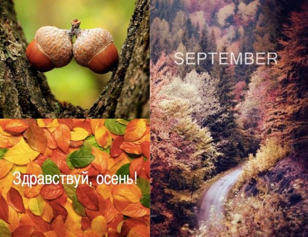 Привет сентябрь Здравствуй осень