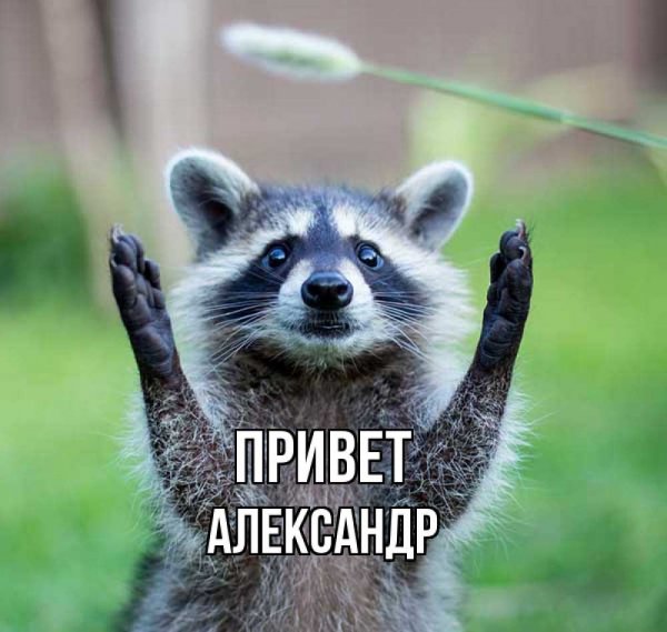Картинки для Сашки