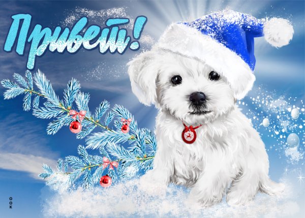 Зимний привет