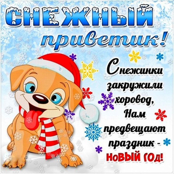 Зимний приветик