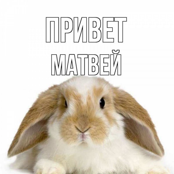 Толстовка Дима