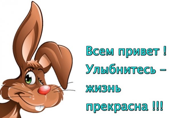 Всем привет картинки