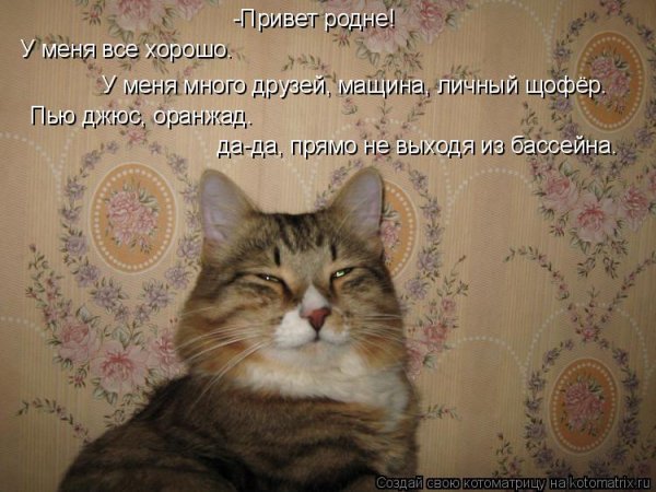Привет родня