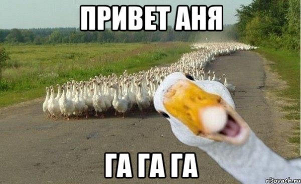 Привет Анютка