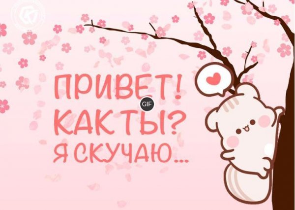 Привет я соскучилась