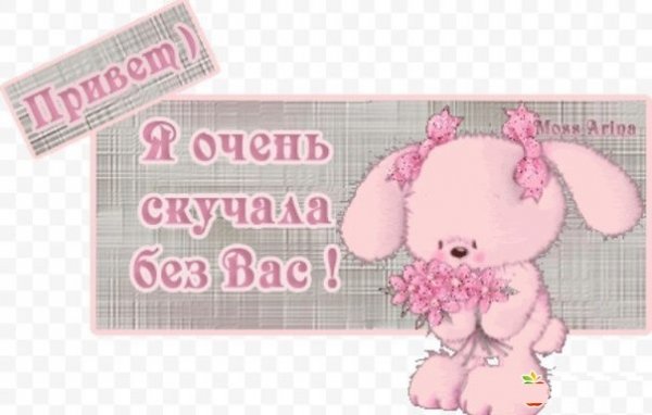 Привет я вернулась картинки