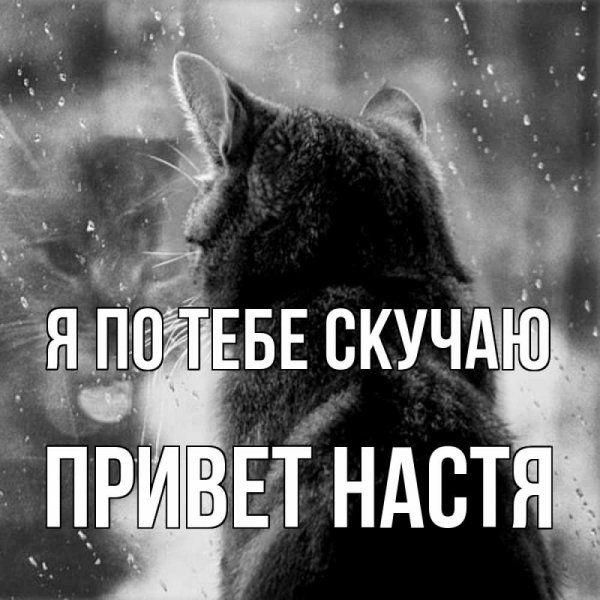 Я скучаю по тебе Настя
