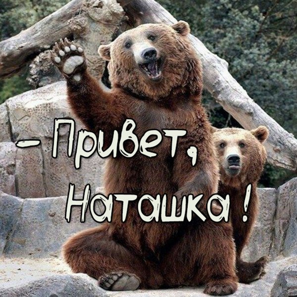 Медведев денег нет