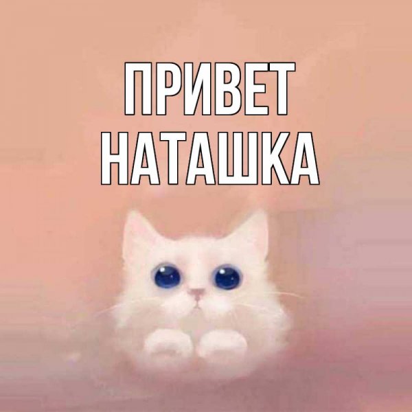 Ромашки для Наташки