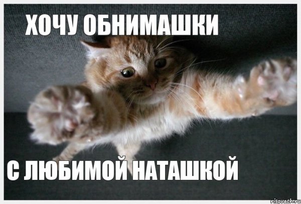 Ромашки для Наташки