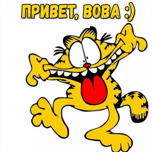 Привет Вова картинки прикольные