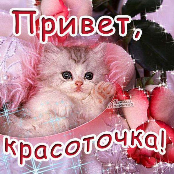 Крошка ши грабли