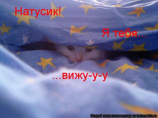Натусик я тебя люблю картинки
