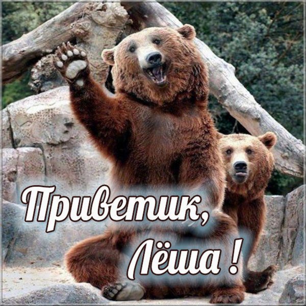 Леха привет